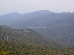 Valle de Leiva-Perdiz 2010